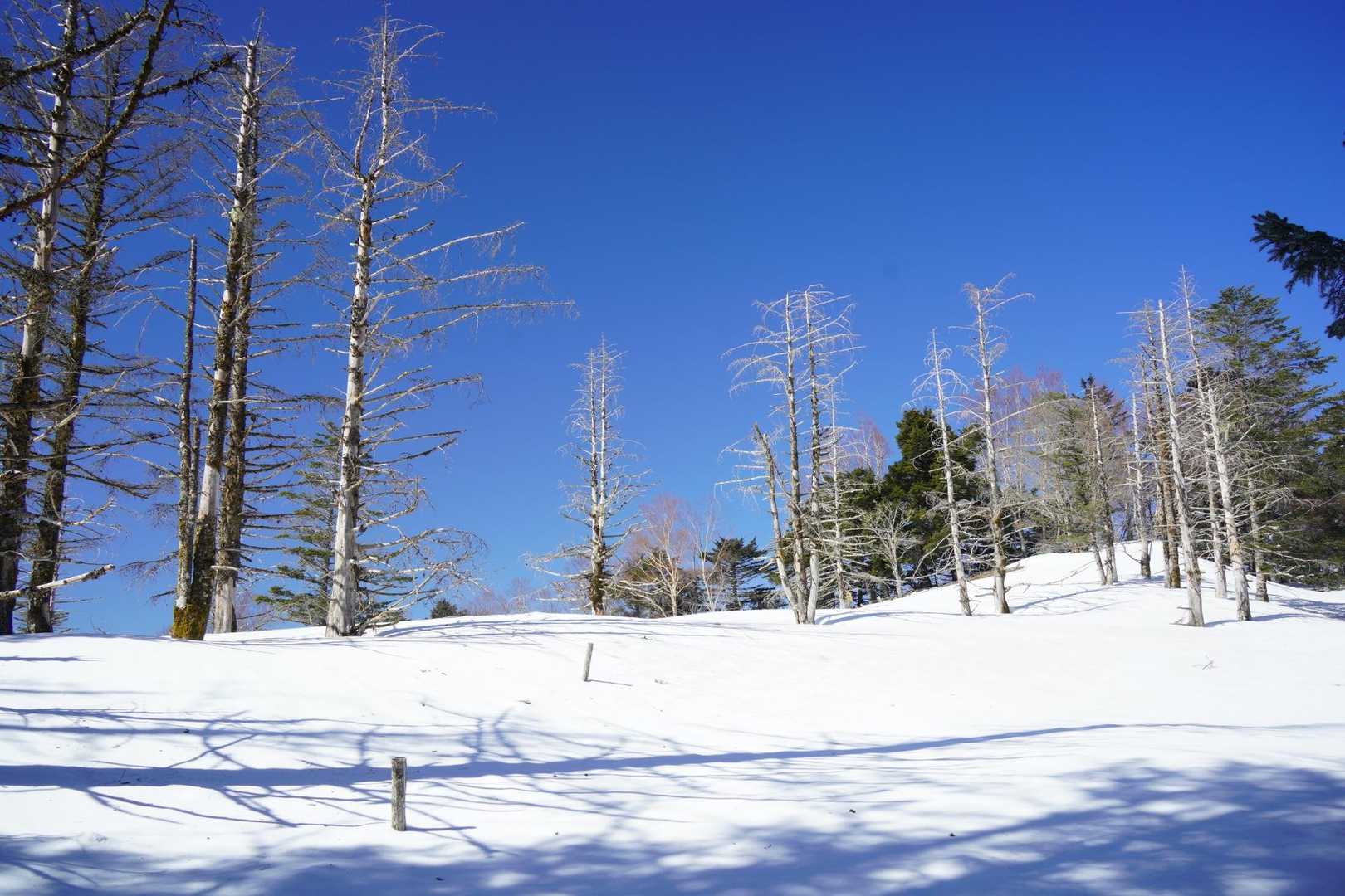 山頂手前でようやく開けます〜