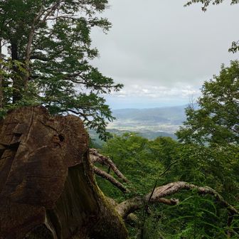 下界は暑そう