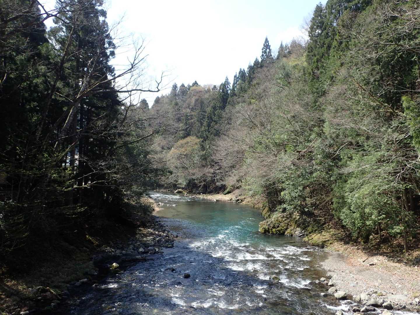 上葛橋より根尾東谷川(^^)/