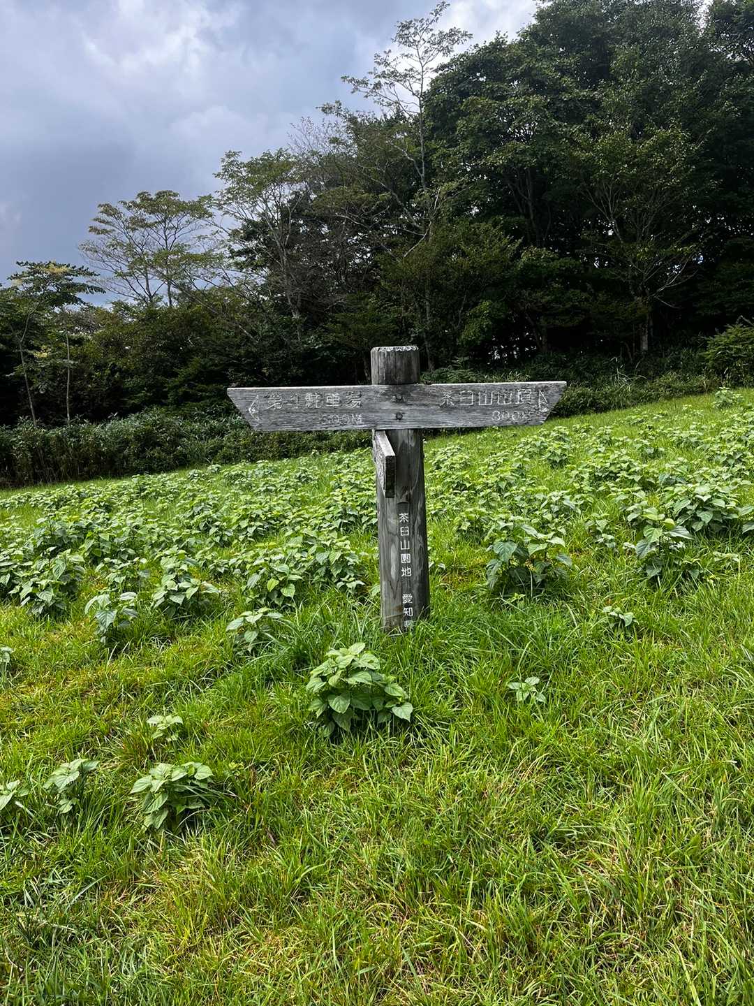 茶臼山 周回コースの写真