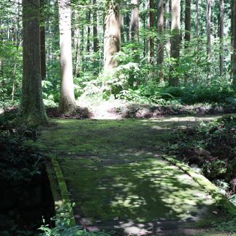 遊泉寺砂山へ