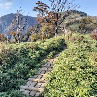塔ノ岳をすぎると初めての稜線が素敵すぎてテンションは爆上がり😍✨️でも疲れはMAXモードへ💦