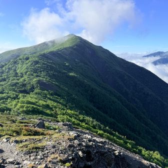 蝙蝠岳までの稜線の美しいこと❣️