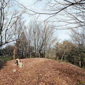 山頂からの眺望はなし😔
同じルートで即下山します