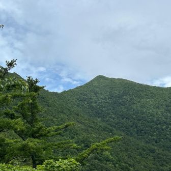 今日も楽しい時間ありがとうございました♪とアポイ岳へご挨拶（5号目より）