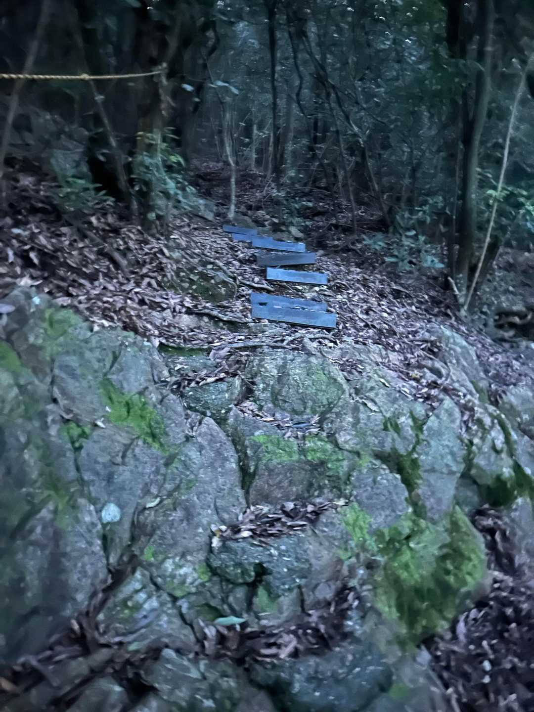薄暗い中
ヘッデン忘れた
ちょっと不安😆