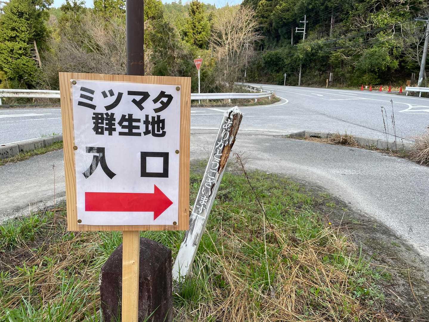 高畑山 往復コースの写真