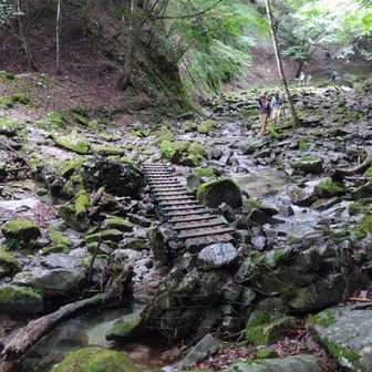 川幅広くなり道迷いしやすい。慣れてる人は、木橋使わずに沢をガシガシ渡ってたよ。