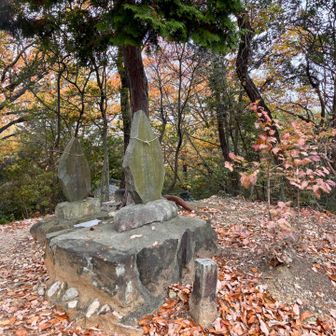 親鸞山の山頂も展望はないけれど、なんだか立派です
