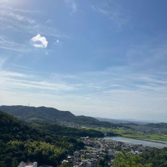 展望台からの景色