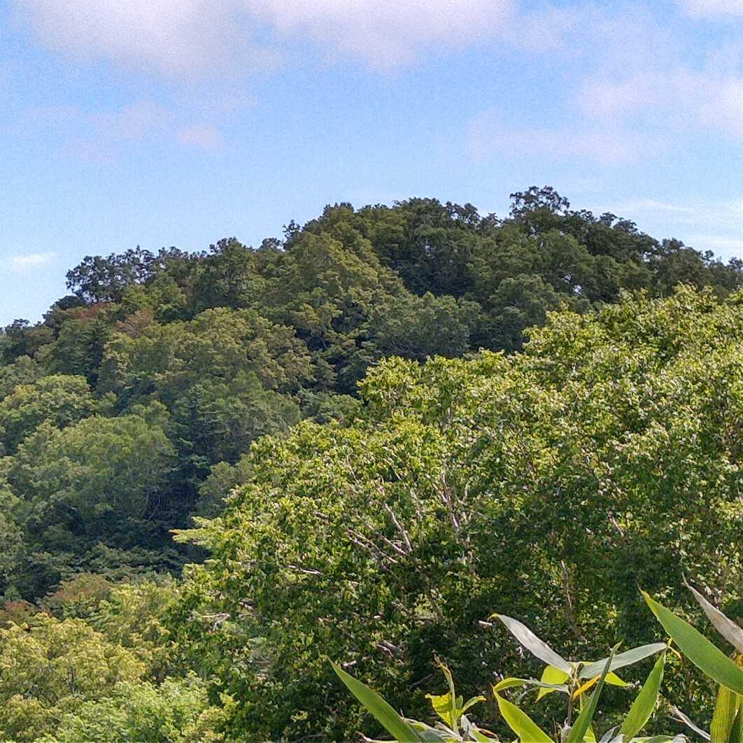 砥石山の写真
