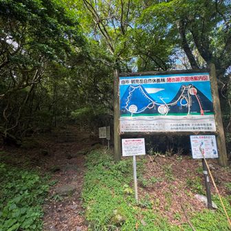 猪ノ瀬戸登山口ここからスタートです♪
　路肩駐車です。
　
向かいは鶴見岳登山口