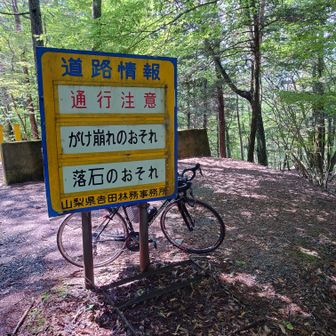自転車をおいたとこまで戻ってきました。
