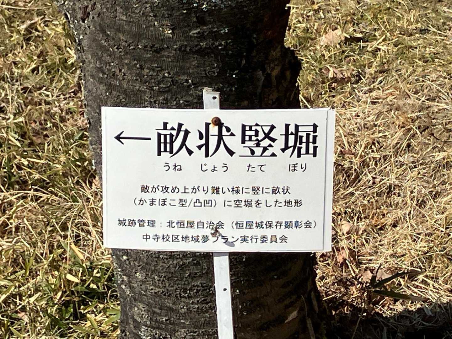 遺跡の説明が多くて楽しめます
