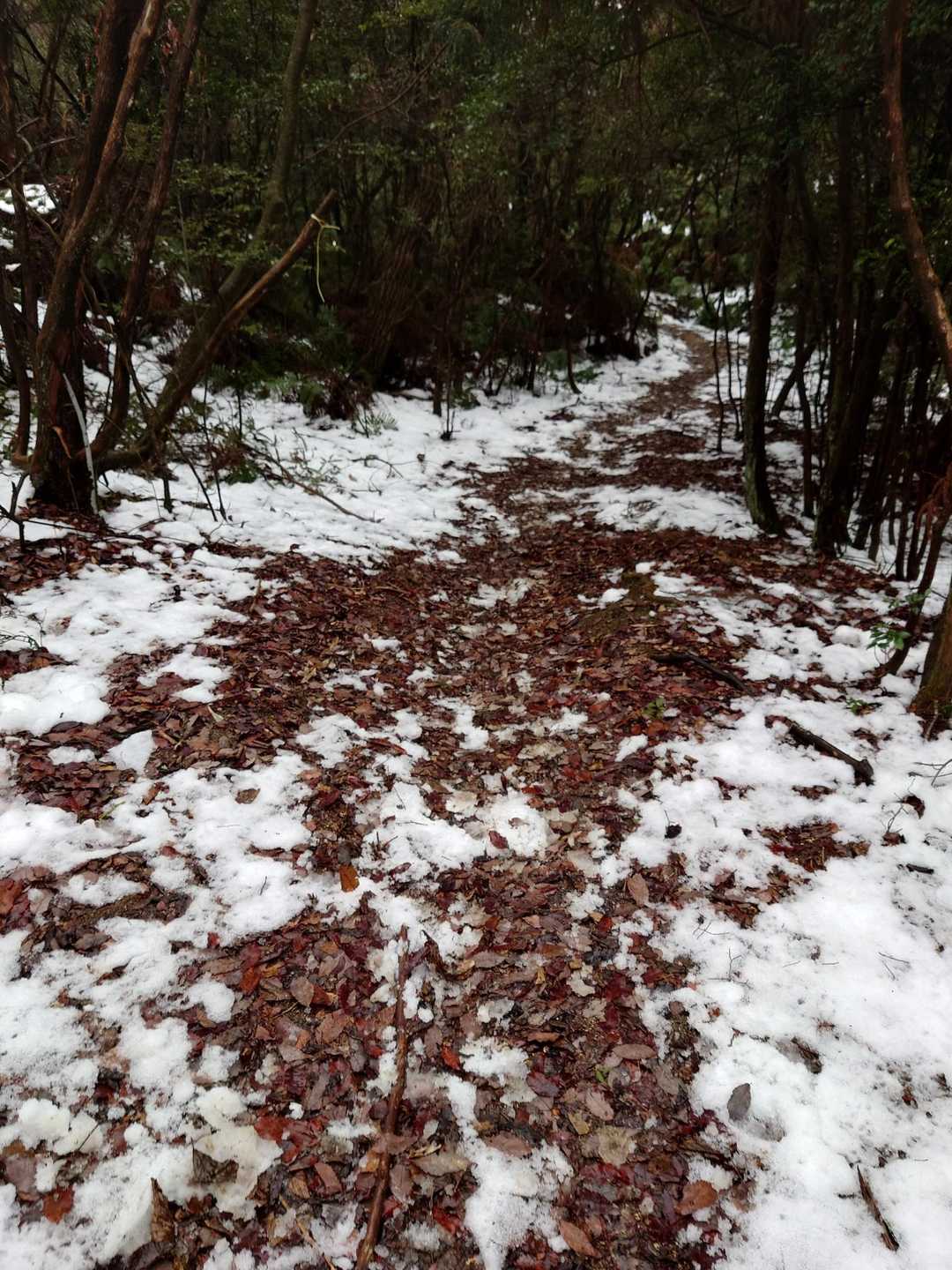 途中、月曜までの寒波の影響❄が
まだ残ってました