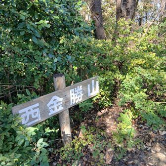 西金でコンプ。