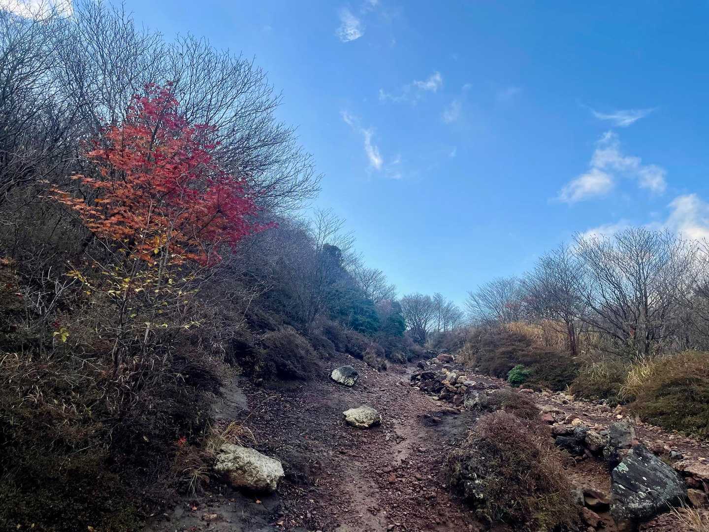 紅葉がまだまだある