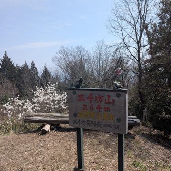 こちらでランチ
おかわり山だったから、ご飯用意してなくて、パートナーからお弁当少し頂きました😋