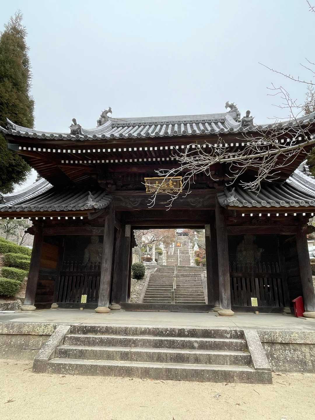 甲山から神呪寺(かんのうじ)をずっと下りて来たよ