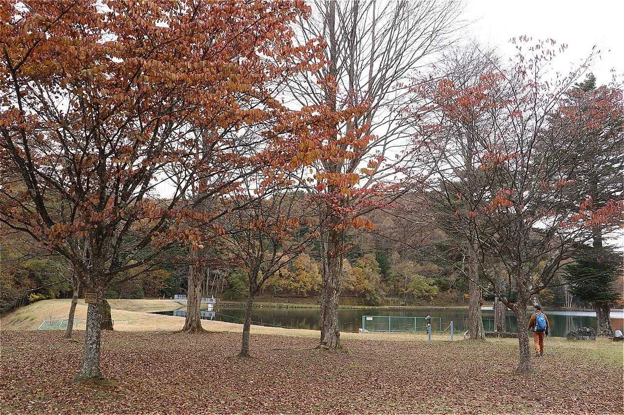 急に決めたので登山口探してウロウロ。