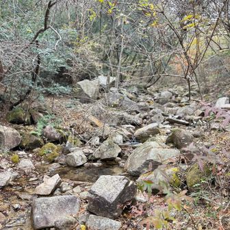 渡渉あり！🪨コロコロ