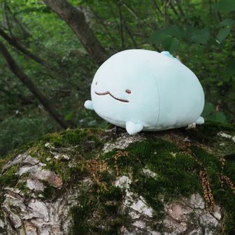 かっぱ