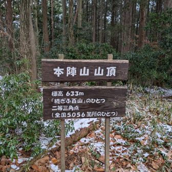 本陣山の頂上。こちらも展望なし。いずれの山も頂上付近は薄っすらと積雪ありましたが、チェンスパは付けなかった。あった方が安全ですが、ほんの少しなので気をつけて歩けば大丈夫です。それよりも各山の途中の車道が、日陰のところがアイスバーンになっており、そっちの方が危なかった。