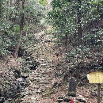 石畳階段　下って来ました