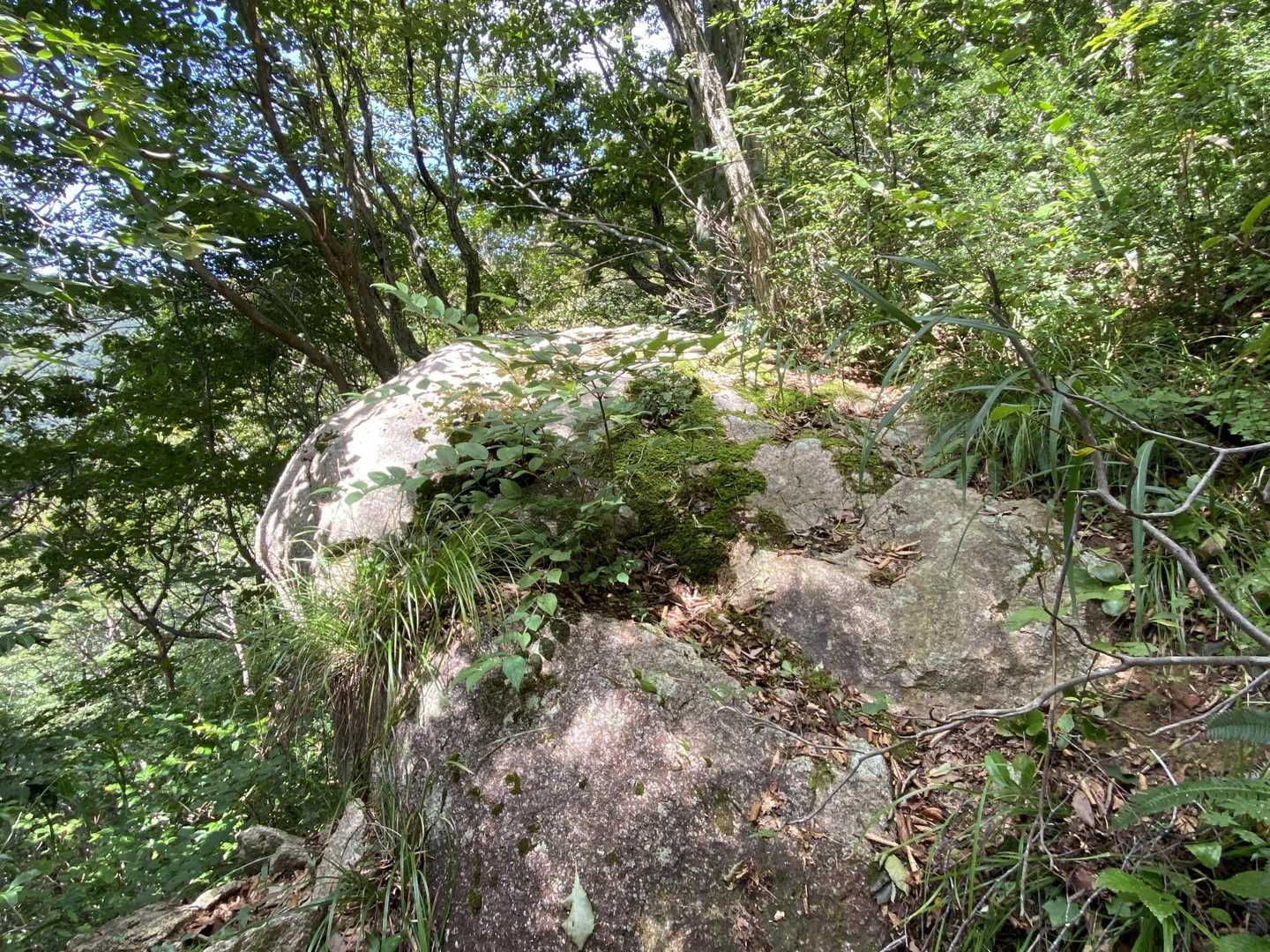 グチを聞いてもらえるのかと思ったら、なんとこれが「呼石」😱
ここからオウム岩に呼びかける！！