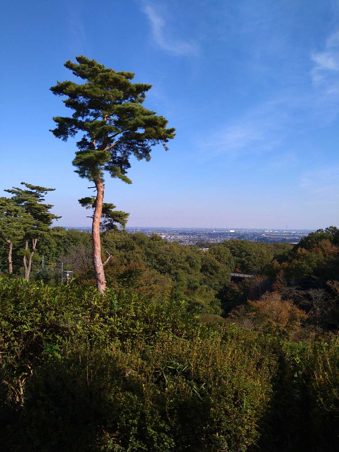 山頂からの眺望…