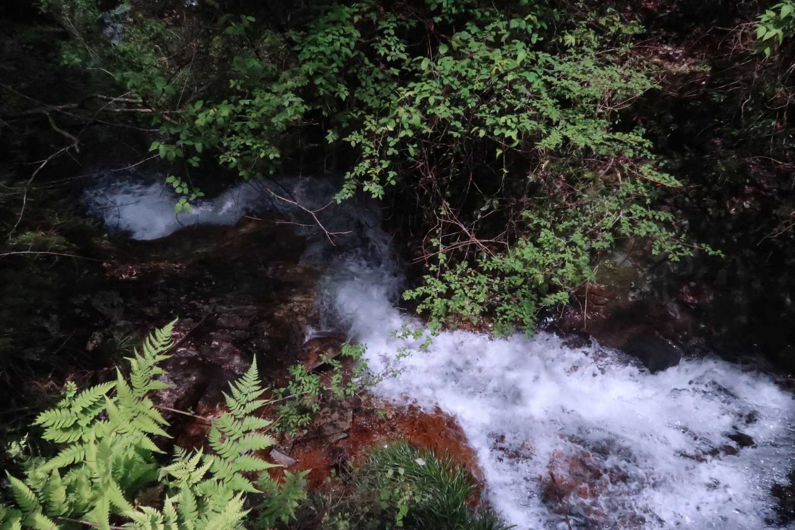 塔の岩 往復コースの写真