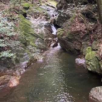 調子が出たので周回コースとしました