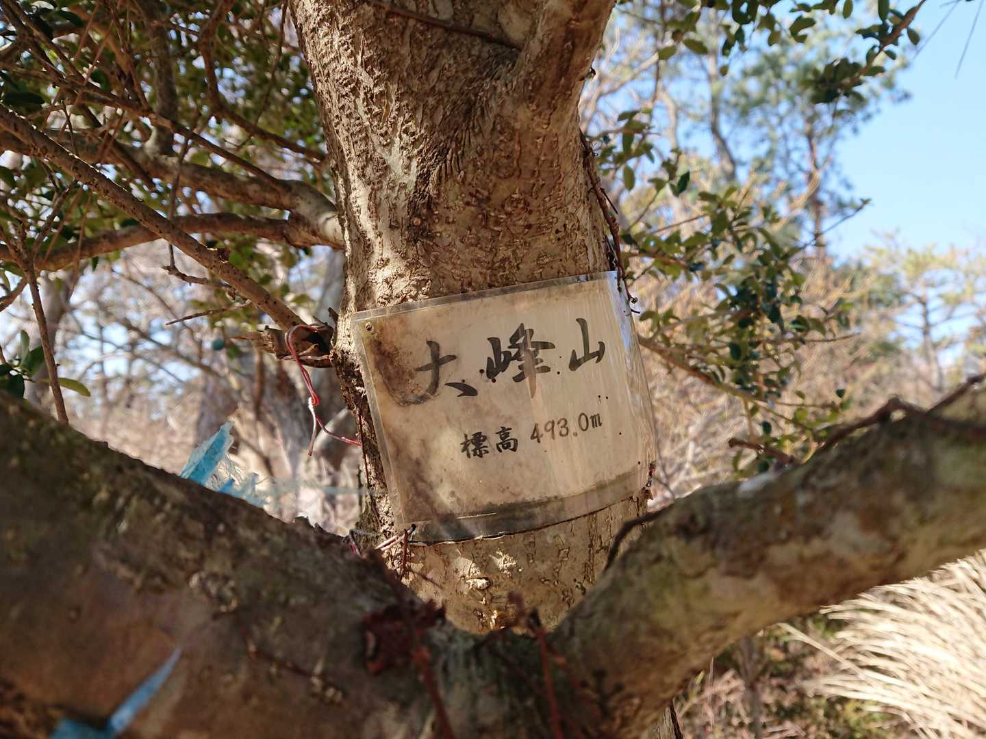 ススキを掻き分けてウロウロ
やっと山頂を見つけました！