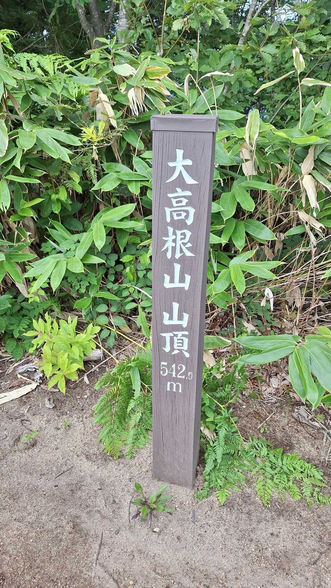 到着⛰️