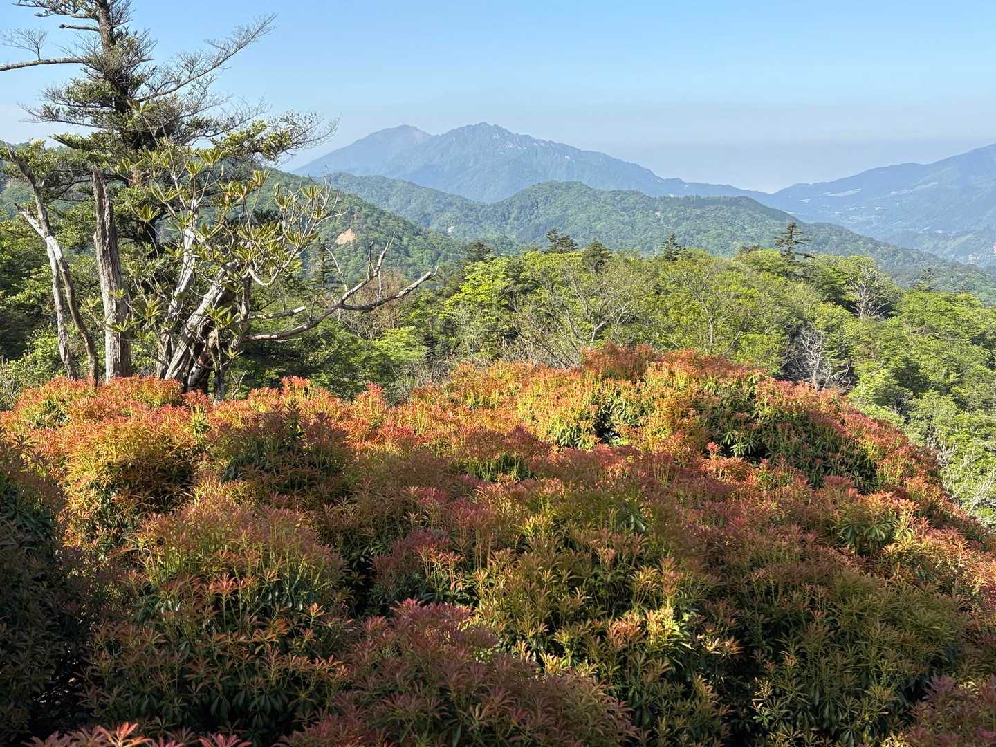 あれは、、、
どこだろ？