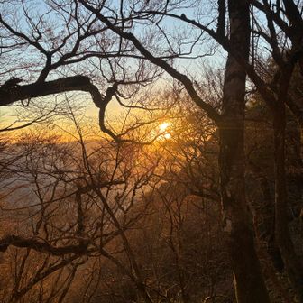 朝日を小屋の前で浴びて…