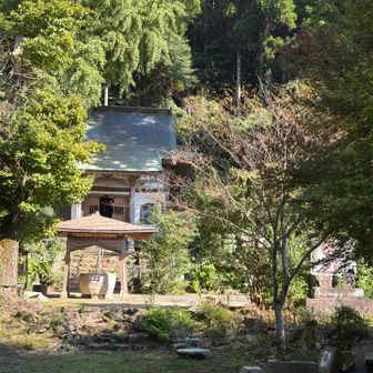 左手に手水鉢
右手の木の手前は、先般の地震の影響でしょうか…
