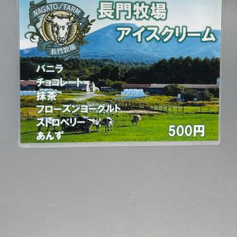 アイスはなかったかも。