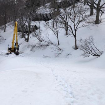 重機の音がすると思ったら、、、
林道の除雪(開通)作業開始。