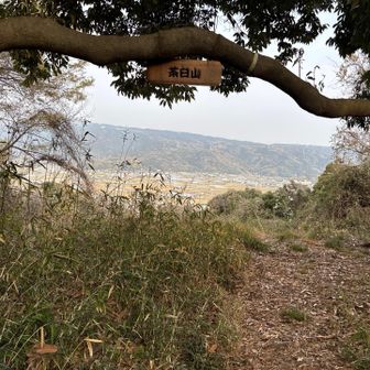 茶臼山山頂から見る田方平野。