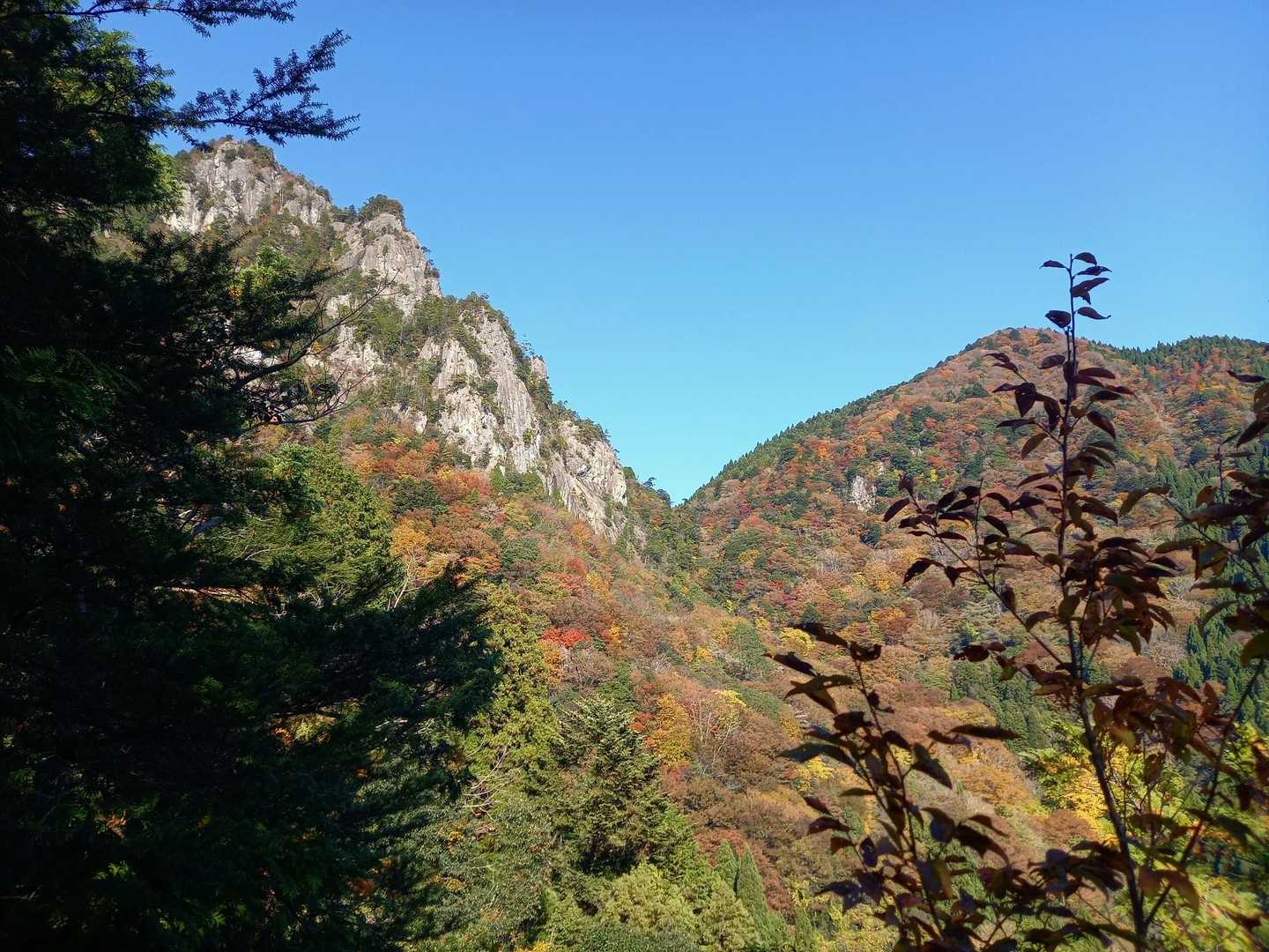 紅葉と岩肌のコラボ🏔️🍁
キレイ😍