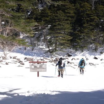 亀甲池の真ん中を避けて