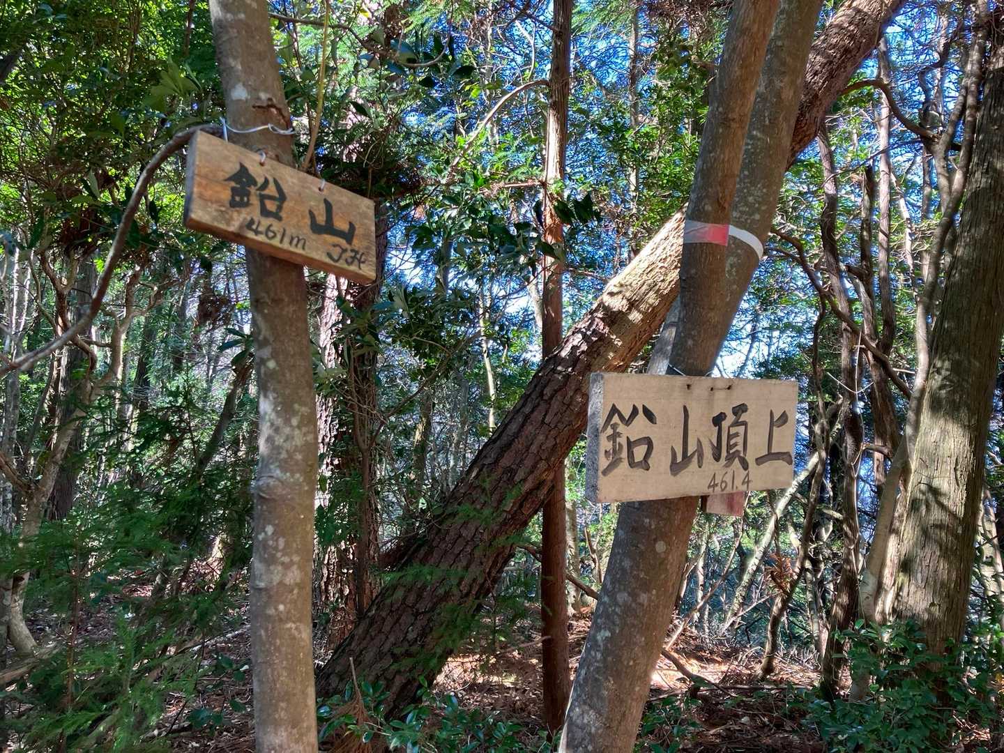 割と急で狭い登山道を経て山頂へ！