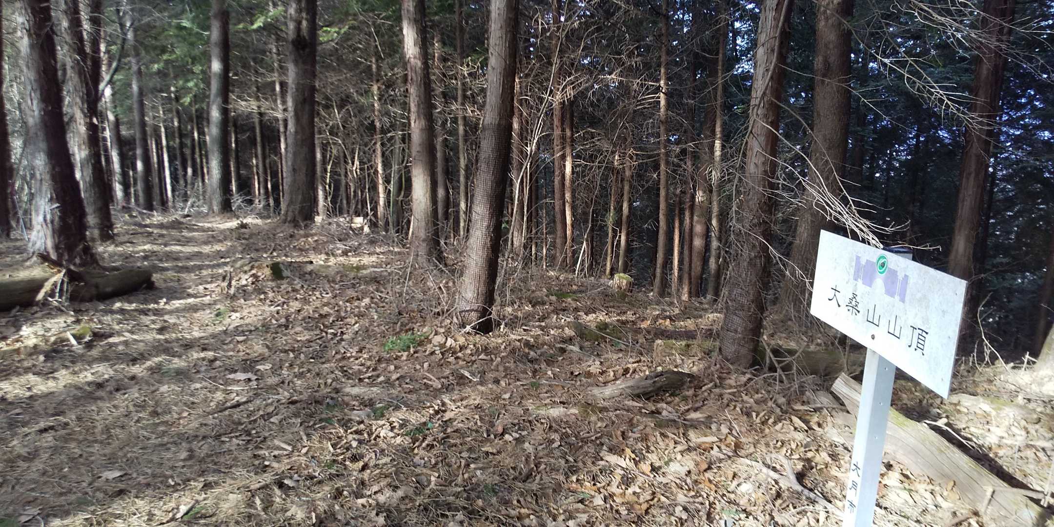 さあ、此処からはピークハントしますよ🎵
大桑山、もうなんでもいいぞ😁
