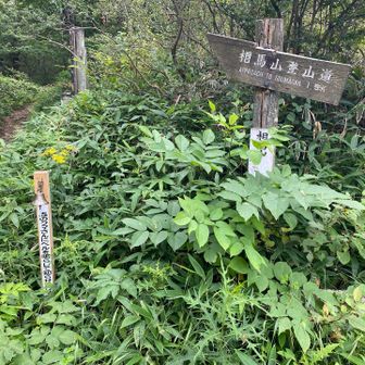 熊ベル🔔を鳴らして〜