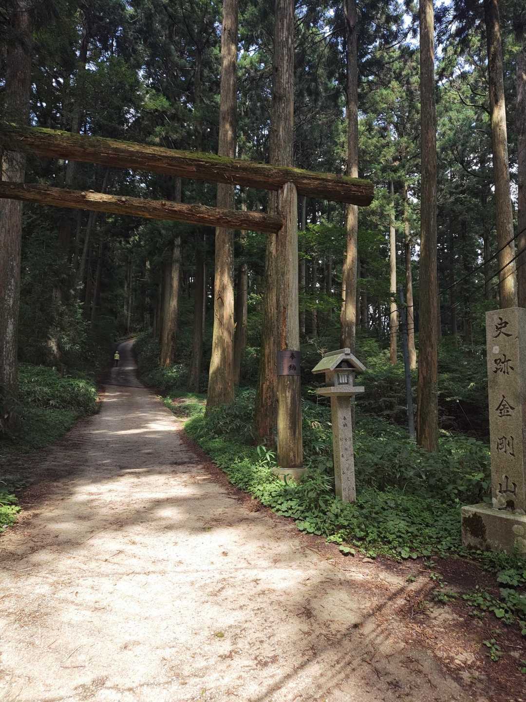 天ヶ滝新道登山口-伏見峠-金剛山葛木神社-金剛山 往復コースの写真