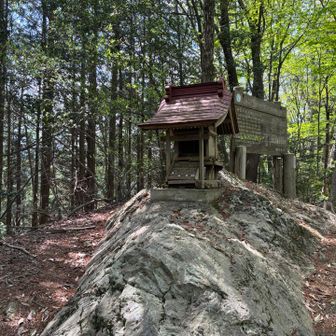愛宕山登頂〜⛰️