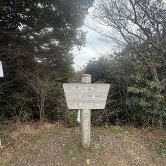 いただきます！