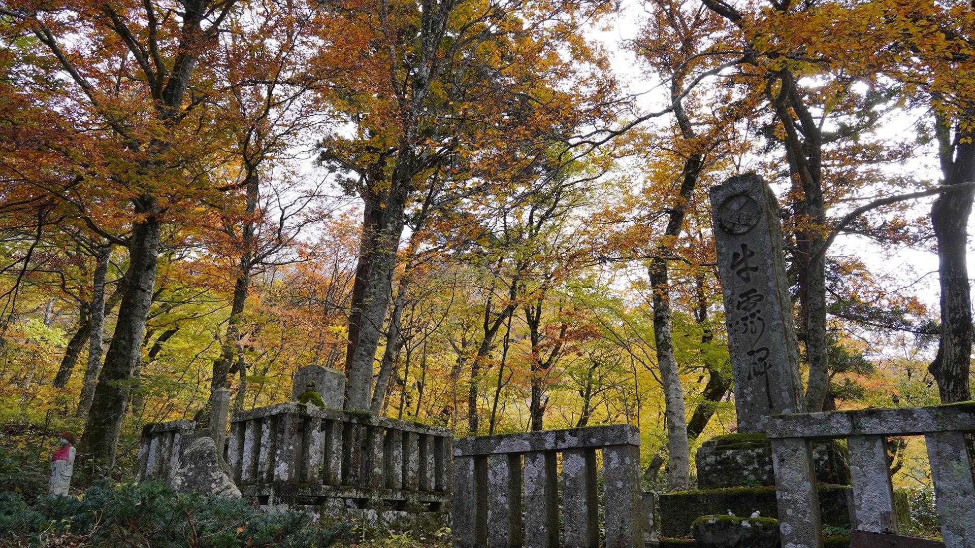 紅葉はずいぶん下の方まで降りてきてますね