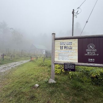 甘利山登山口駐車場に到着🅿️

我がご先祖様の故郷の山、5歳の時に両親に連れられて人生で初めて登頂した山⛰️

とっても涼しくて快適です🎶😆
景色真っ白🫥なのは気にしないですよ☺️

甘利山は花撮影🌸を楽しみますよ📸